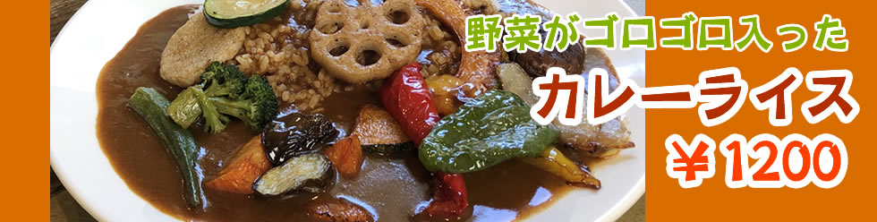 野菜ごろごろカレーライス